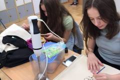 245164013_378139304011473_2825499642941181414_n