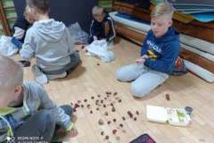 245842541_402816248109544_4928938963292227166_n